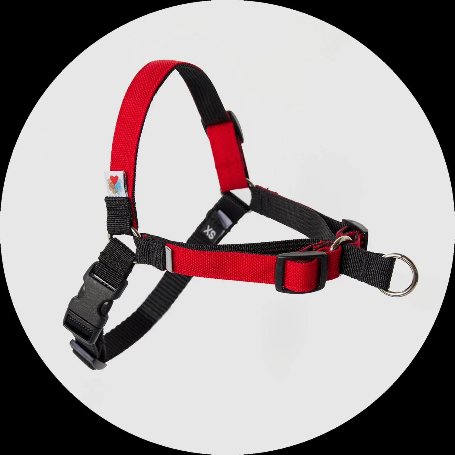Linden No-Pull Dog Harness