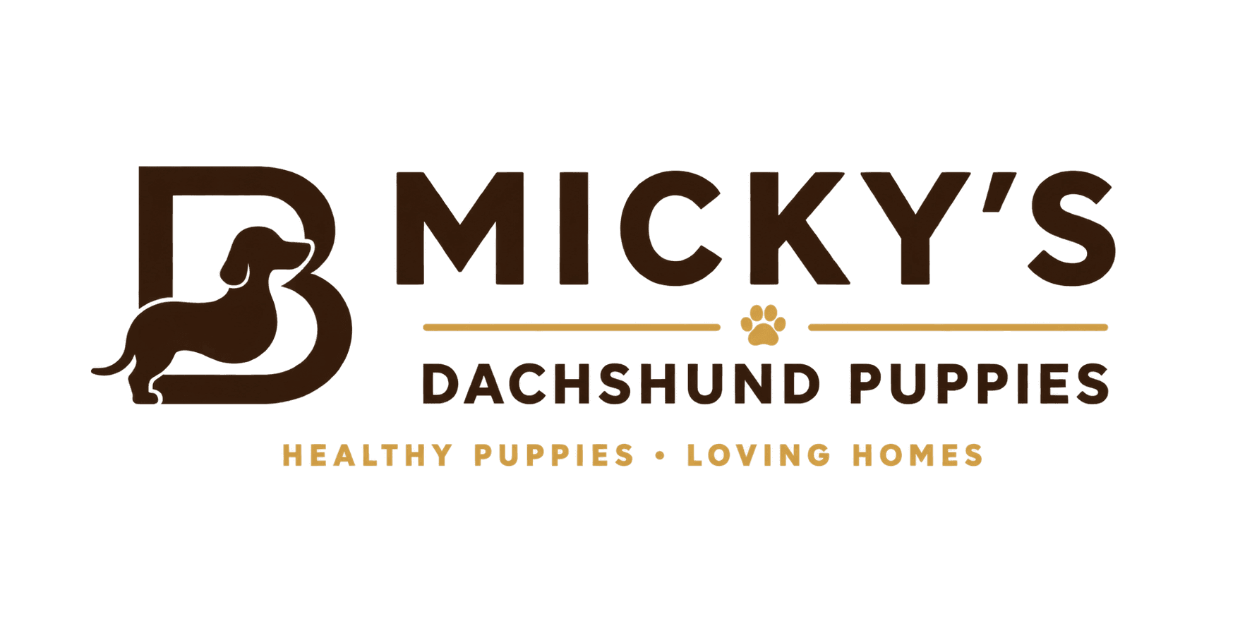 Micky’s Dachshund Puppies
